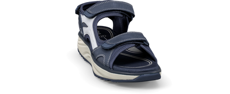 Komodo II blue - 35 - Joya