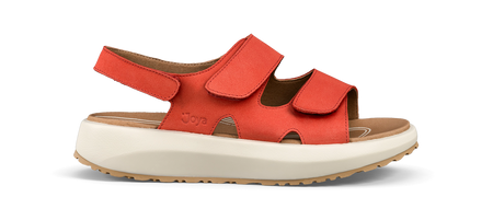 Panama red - 35 - Joya