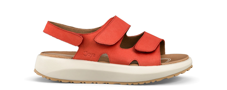 Panama red - 35 - Joya