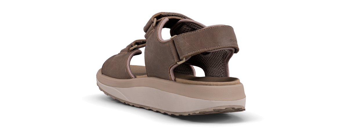 Alexander II dark brown - 39 - Joya