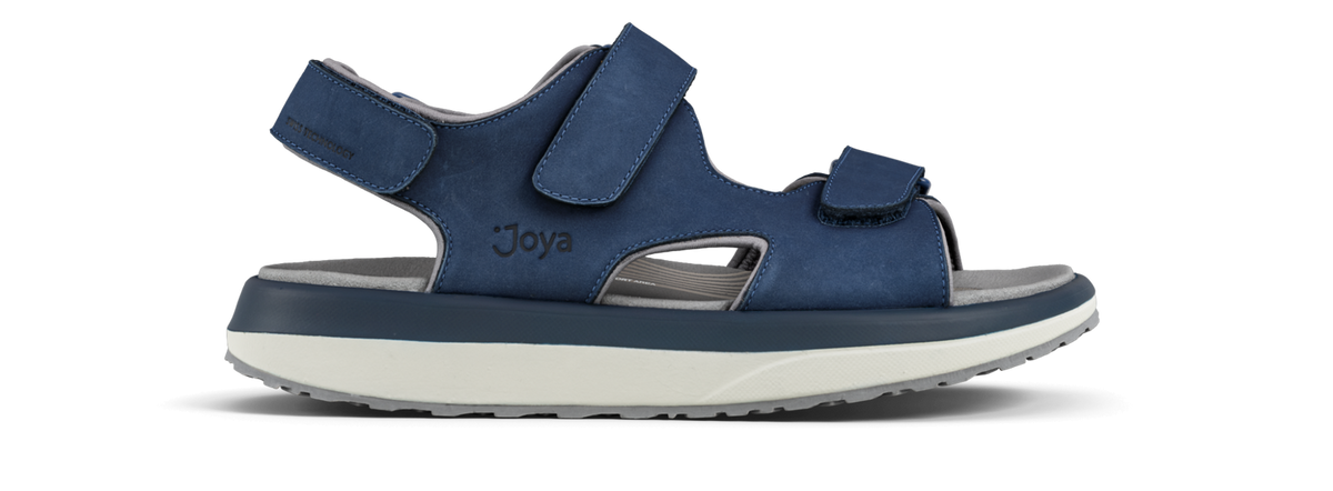 Alexander II blue - 39 - Joya