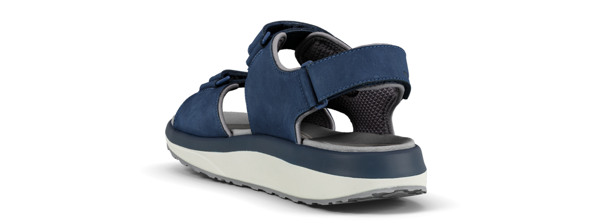 Alexander II blue - 39 - Joya